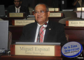 diputado